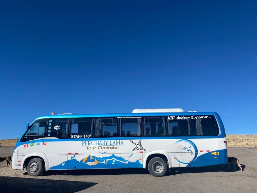 From Arequipa: Colca Canyon Day Trip with Transfer to Puno - Across Salinas and Aguada Blanca National Reservation