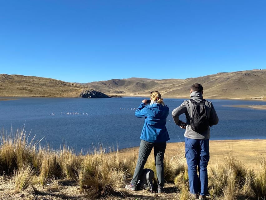 From Arequipa: Colca Canyon Day Trip with Transfer to Puno - Alto Lagunillas and the final road to Puno
