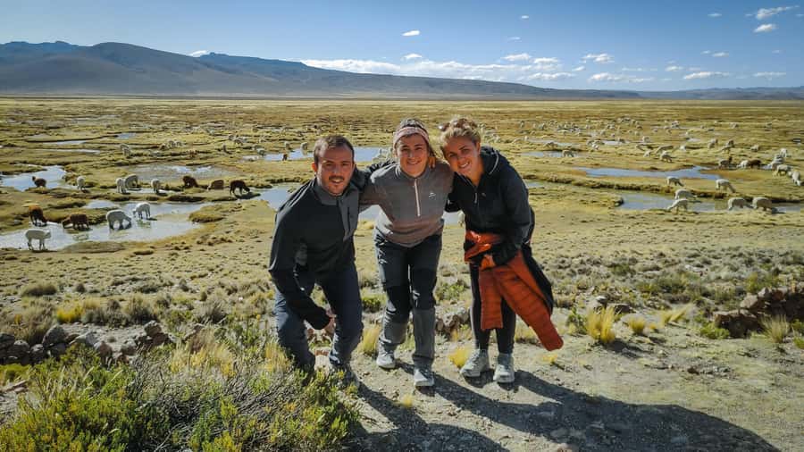From Arequipa: Colca Canyon Full-Day Guided Tour with Meals - Breakfast in Chivay, then into Colca country