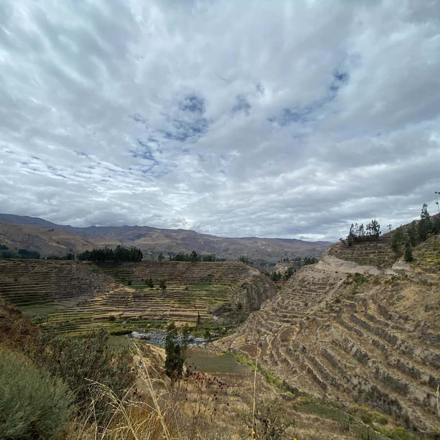 From Arequipa: Colca Canyon & La Calera Thermal Waters - Who should choose this day trip