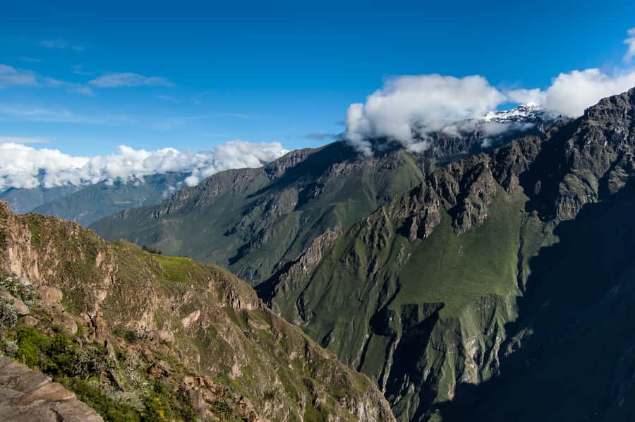 From Arequipa: Colca Canyon & La Calera Thermal Waters - The long road through Yura and Pampa Cañahuas
