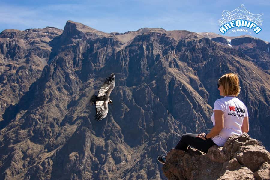 From Arequipa: Colca Valley & Thermal Baths Small-Group Trip - Key points at a glance