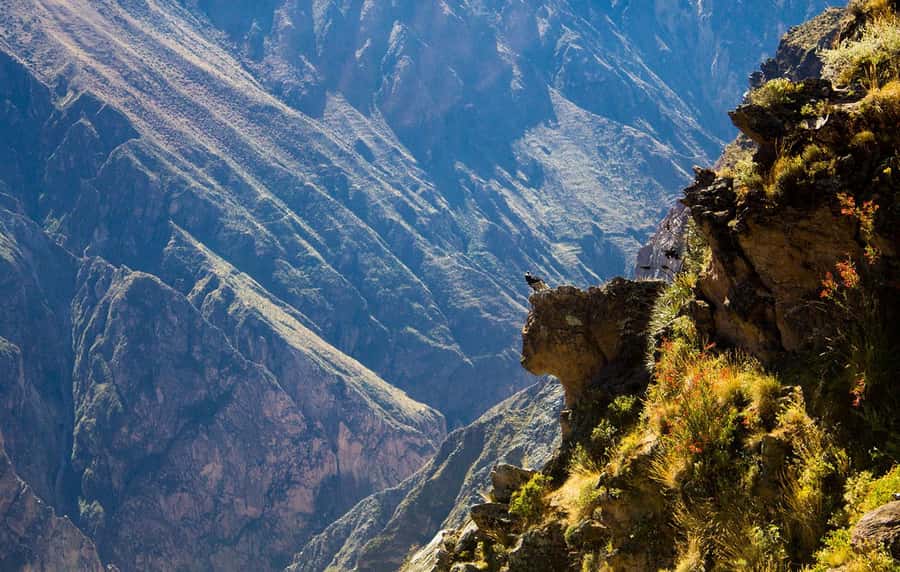 From Arequipa: Colca Valley & Thermal Baths Small-Group Trip - The 3:00 a.m. start and the long ride east
