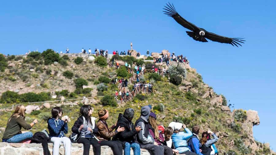 From Arequipa: Full Day Colca Canyon Tour - Reaching Chivay after four hours on the road