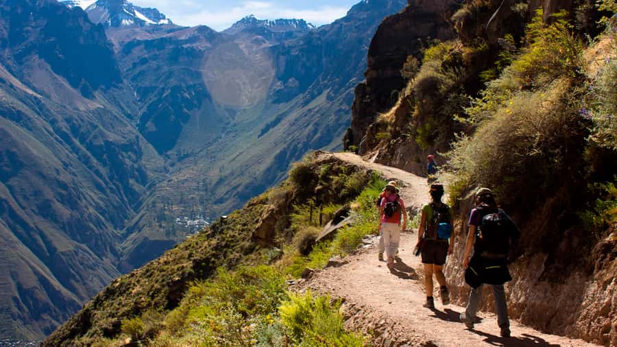 From Arequipa: Full Day Colca Canyon Tour - Crossing Salinas and Aguada Blanca at 4,000 meters