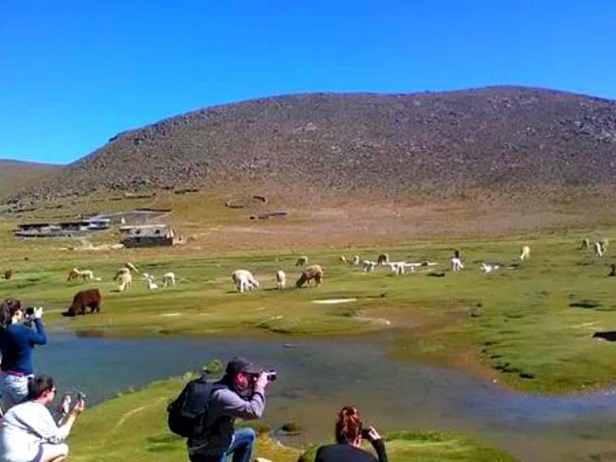From Arequipa: Full Day Tour of Colca Canyon with Meals - Pinchollo, Maca, and Yanque: villages with character