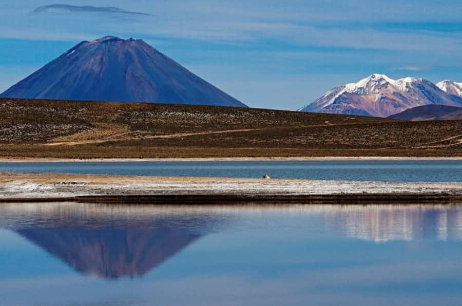 From Arequipa: Salinas Lagoon Full-Day Trip with Hot Springs - Chiguata square and a taste of local food