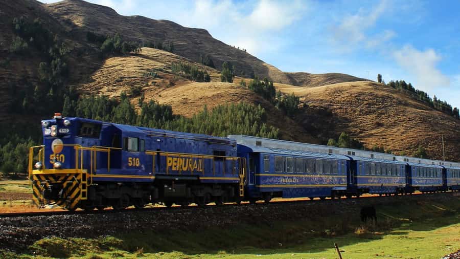 From Cusco: 1-day Machu Picchu Tour by Train - The tourist train through the Andes