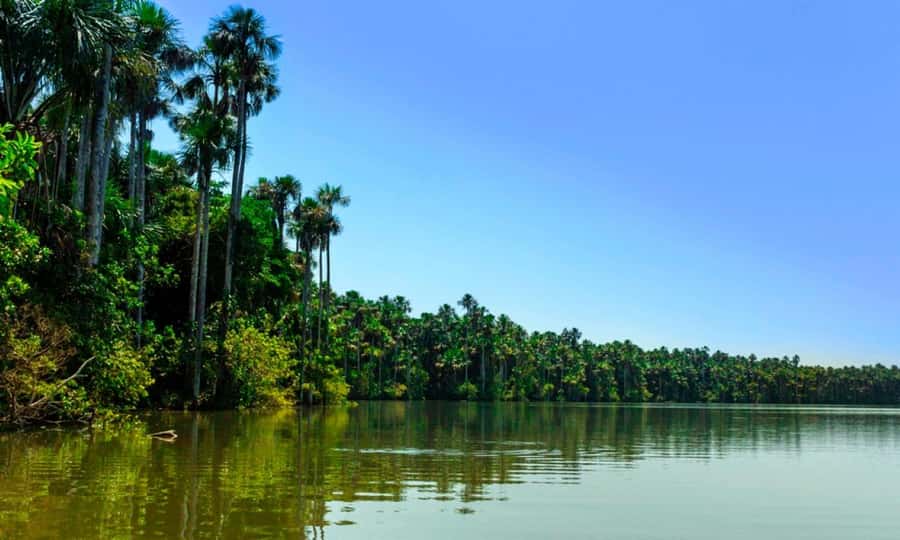 From Cusco: 4 Day Puerto Maldonado Sandoval Lake Excursion - Practical packing for four humid days