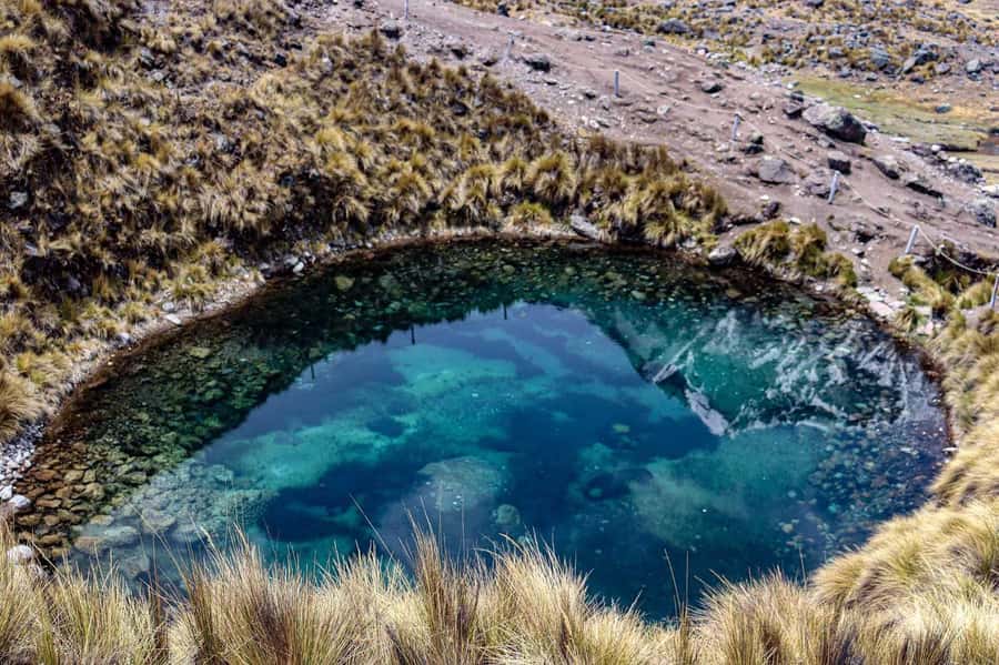 From Cusco: 7 Lagoons Tour - Key points before you book