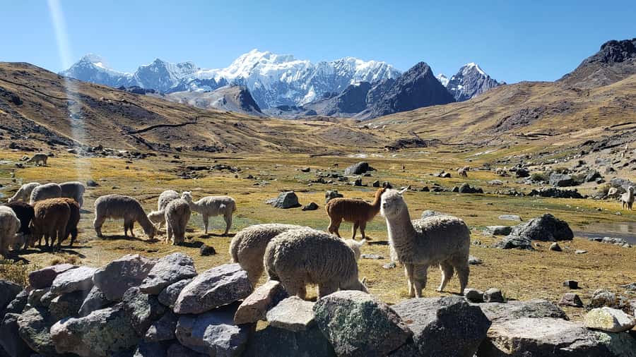 From Cusco: 7 Lakes of Ausangate Full Day Tour - Five hours among the seven Ausangate lakes