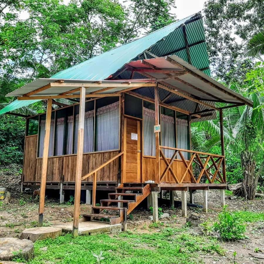 From Cusco: Amazon jungle for two days with sleeper bus and private lodge - Afternoon river cruise and the first sunset