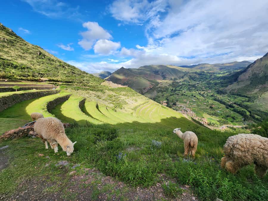 From Cusco: Chinchero, Moray, Maras, Ollantaytambo and Pisaq - Urubamba provides a needed pause at midday