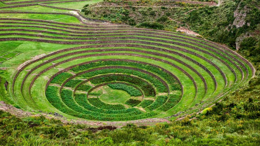 From Cusco: Chinchero Weavers, Moray, Maras Salt Mines Tour - Key points to know before booking
