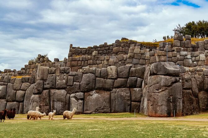 From Cusco City Tour Four Ruins Half Day Tour - Group size, meeting points, and guide quality