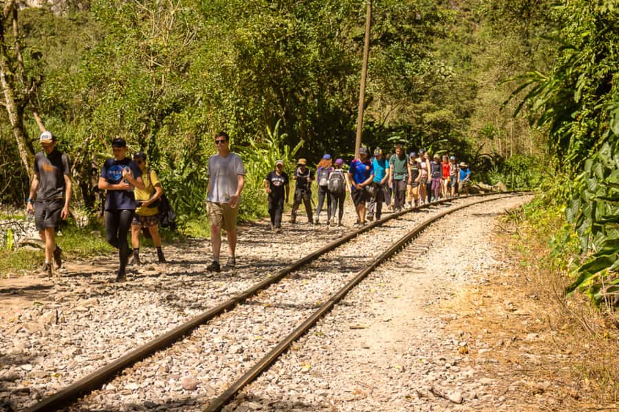 From Cusco: Full-Day Round-Trip Train Tour to Machu Picchu - What the $269 price really covers