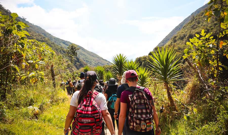 From Cusco: Full-Day Round-Trip Train Tour to Machu Picchu - Choosing between the 4:00, 6:00, and 8:00 a.m. departures