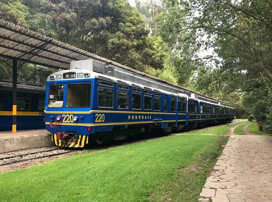 From Cusco: Machu Picchu Private Day Trip on Panoramic Train - A private departure from Cusco