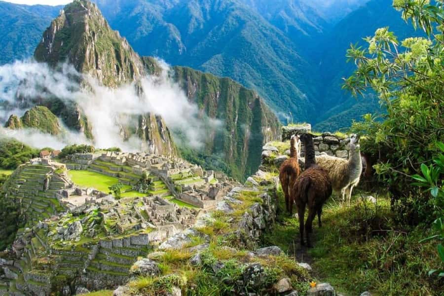 From Cusco:MachuPicchu Excursion 1 day plus Ticket and Train - Aguas Calientes and the 25-minute mountain bus