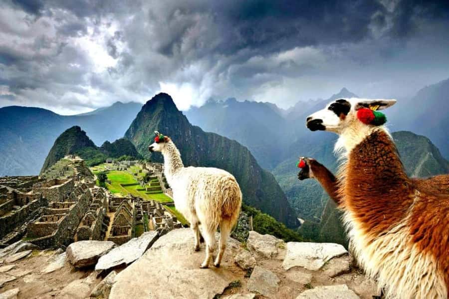 From Cusco:MachuPicchu Excursion 1 day plus Ticket and Train - The 110-minute train through the Urubamba Valley