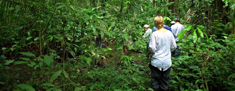 From Cusco: Manu National Park 3 Day Tour - Key points to know before booking