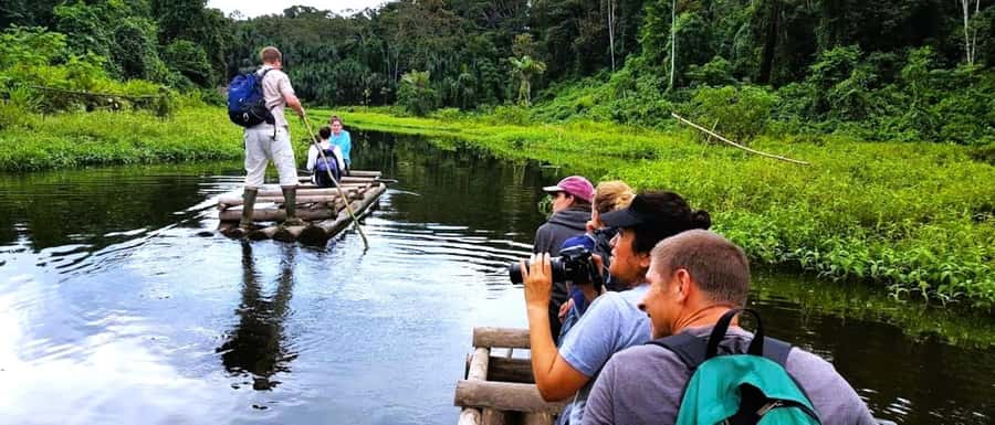 From Cusco: Manu National Park Tour & Accommodation 3 Days - Day three, medicinal plants and the road back to Cusco