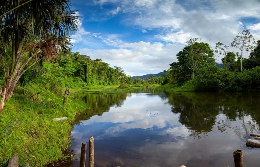 From Cusco: Manu National Park Tour & Accommodation 3 Days - What the guiding and group size mean