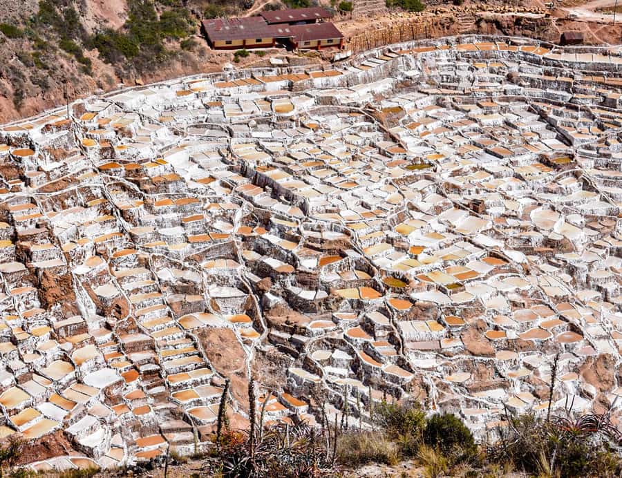 From Cusco: Moray, Maras Salt Mines & Chinchero Weavers Tour - Maras Salt Mines and 3,000 working pools