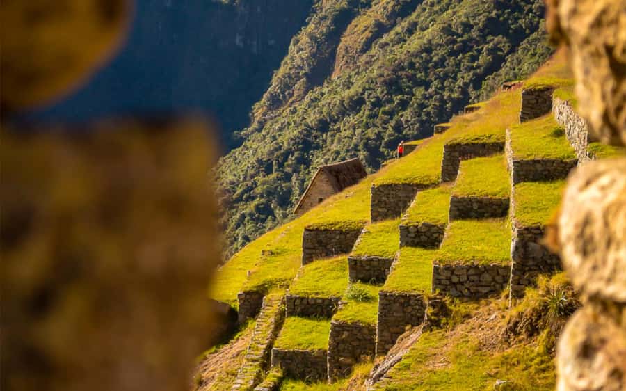 From Cusco: One-Day Round Trip to Machu Picchu by Train - The return to Cusco after a full day