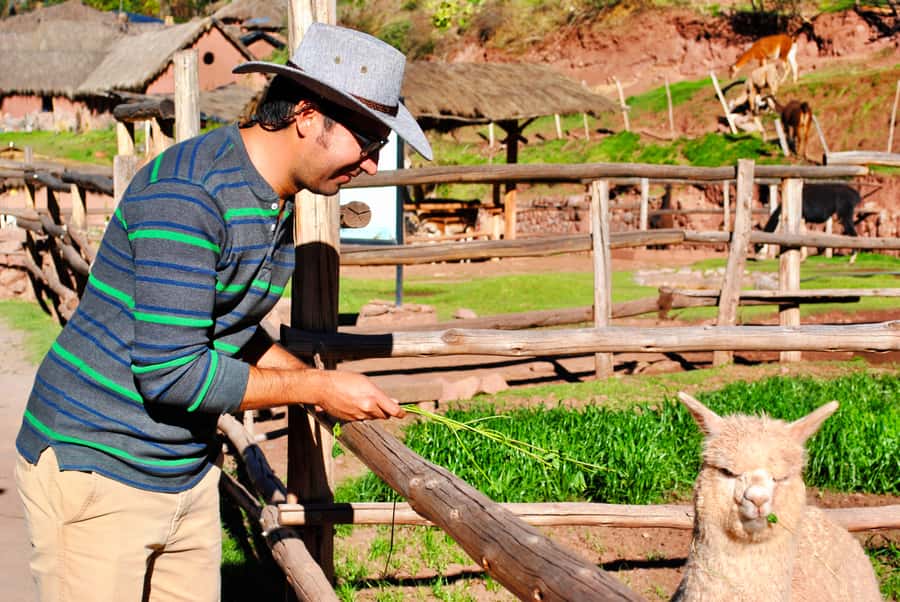 From Cusco: Private Pisac Ruins and Alpaca Farm Day Trip - Coming back down to Pisac town