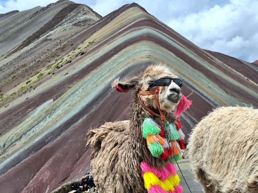 From cusco: Rainbow Mountain ATV Tour with meals - One hour at the Mountain of Seven Colors