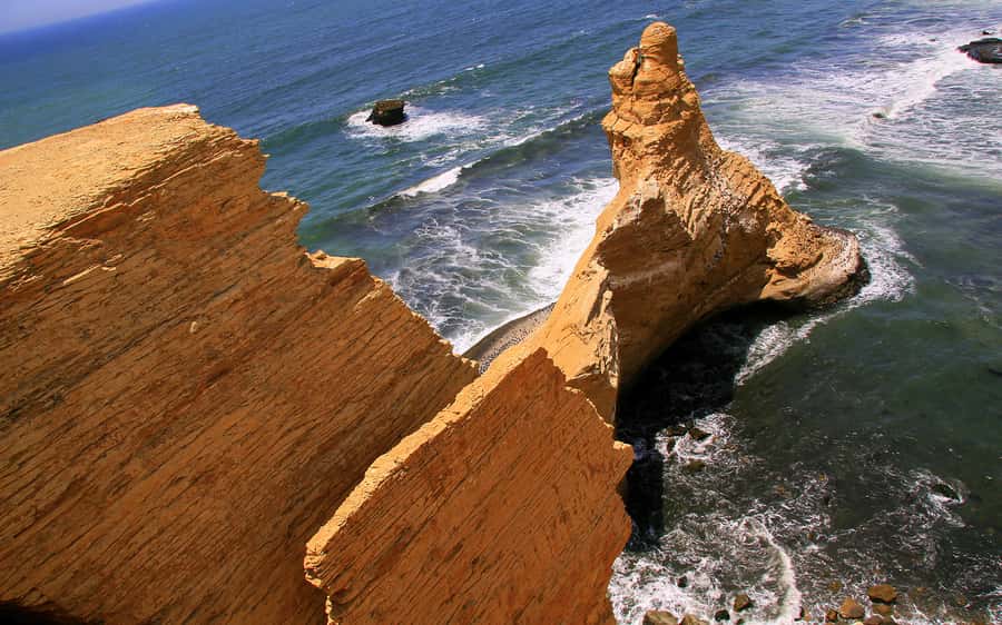 From Huacachina: Ballestas and Paracas Reserve - GROUP TOUR - Key points to know before booking