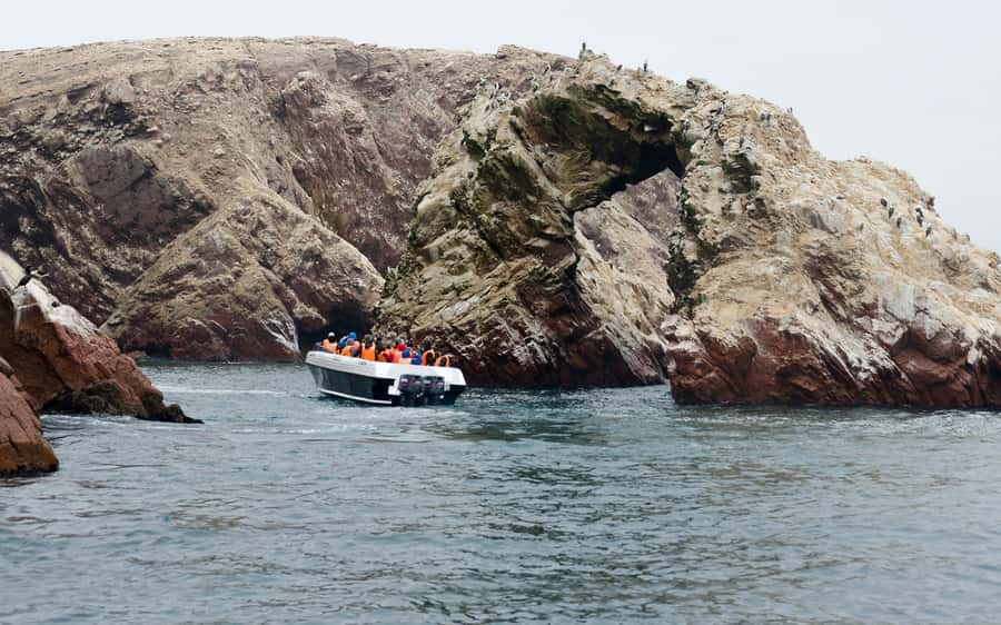 From Huacachina: Ballestas and Paracas Reserve - GROUP TOUR - A two-part day from desert oasis to Pacific wildlife