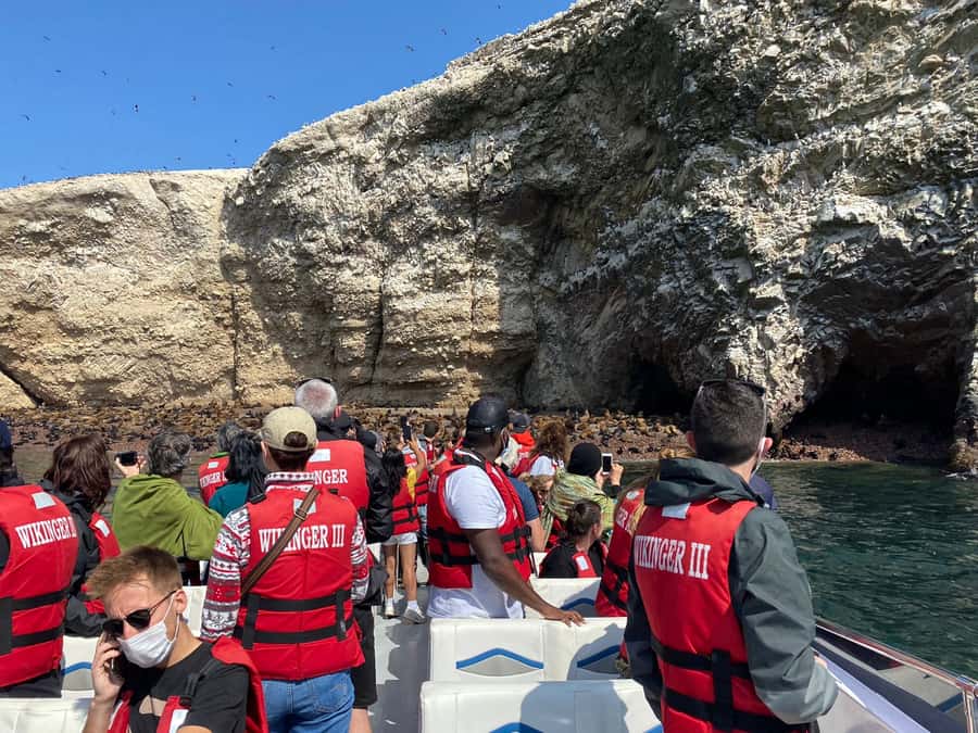 From Huacachina: Ballestas and Paracas Reserve - GROUP TOUR - Who will enjoy this group tour?