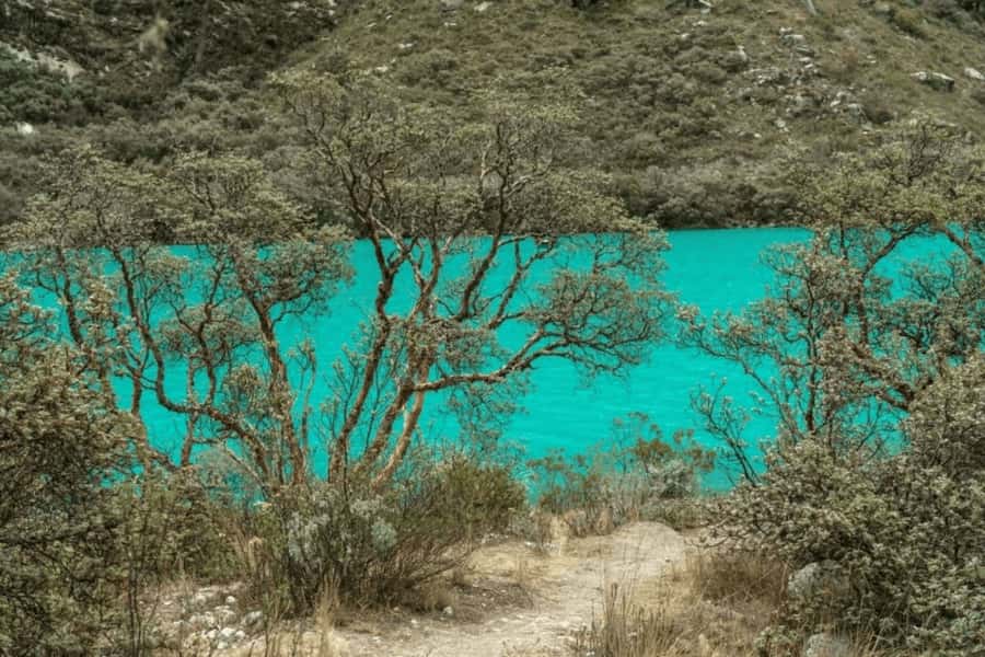 From Huaraz: Tour to Llanganuco Lakes (Chinancocha Lake) - Handling the commercial stops