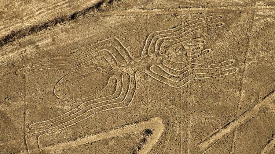 From Ica: Flight over the Nazca Lines - Who should book this Ica to Nazca day trip