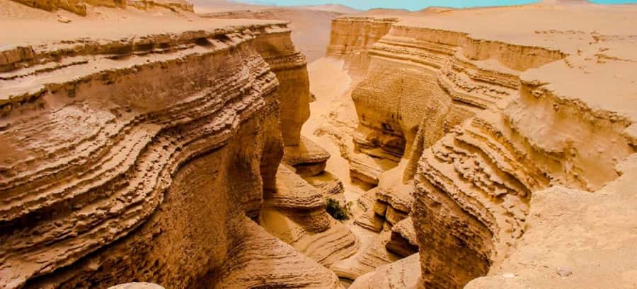 From Ica || Full Day Excursion to Los Perdidos Canyon || - Key points to know before booking