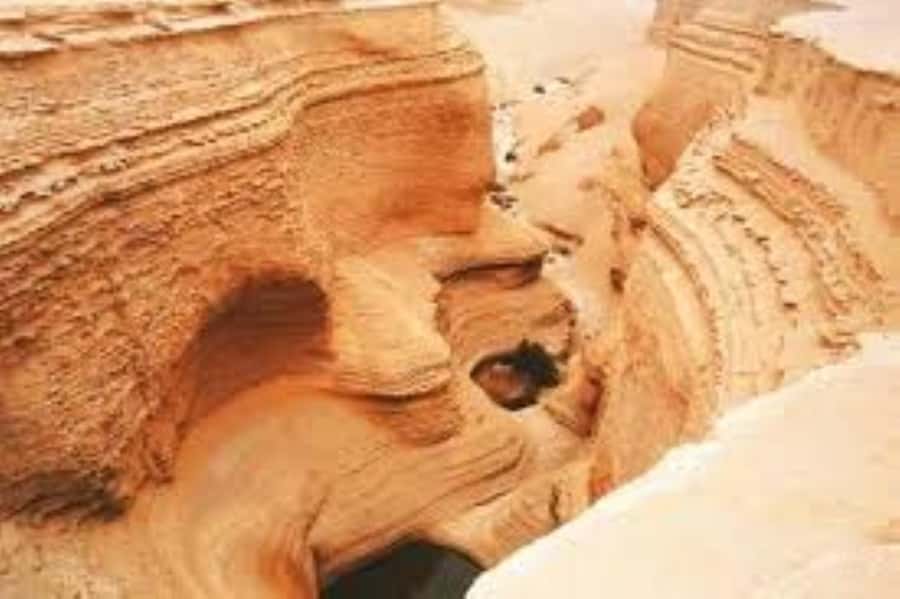 From Ica || Full Day Excursion to Los Perdidos Canyon || - Ocucaje gives the day a fossil-country start