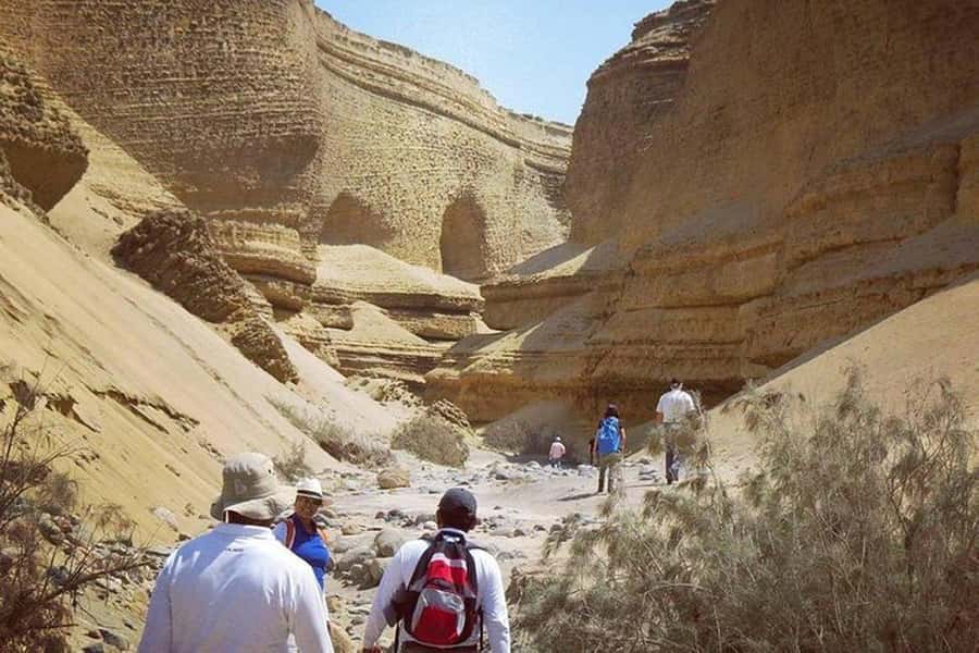 From Ica | Huacachina : Canyon de Los Perdidos | Full Day - Walking into the Canyon of the Lost