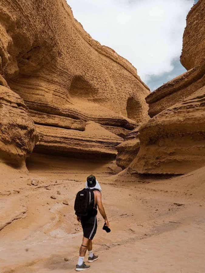 From Ica | Huacachina : Canyon de Los Perdidos | Full Day - Is $49 a fair price?