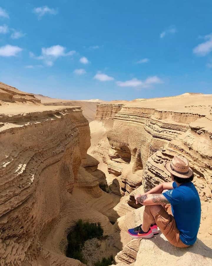 From Ica | Huacachina : Canyon de Los Perdidos | Full Day - Practical advice for a smoother day