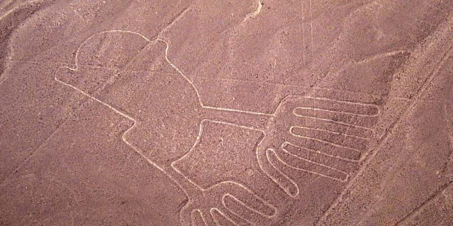 From Ica or Huacachina: Flight Tour Nazca Lines | Overflight - Inside the small aircraft