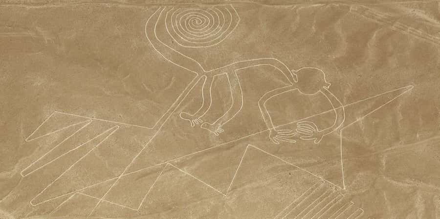 From Ica or Huacachina: Flight Tour Nazca Lines | Overflight - Leaving Ica or Huacachina for Nazca