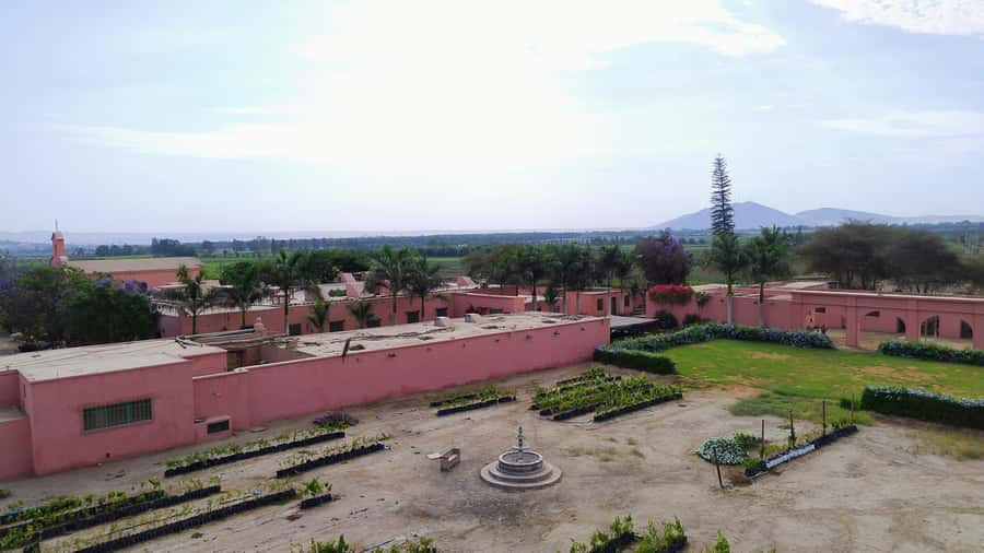 From Ica or Huacachina: Tour to Tacama Vineyard and Artisanal Winery. - Cutur Pisco and the old Spanish cellars