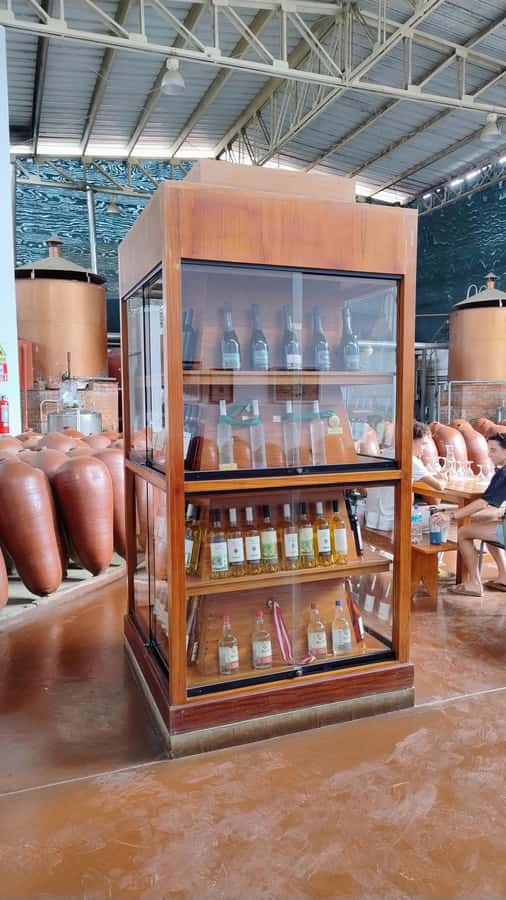 From Ica or Huacachina: Tour to Tacama Vineyard and Artisanal Winery. - How to get more from the tastings