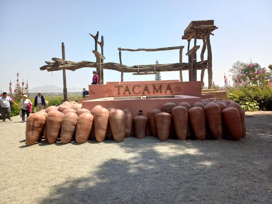 From Ica or Huacachina: Tour to Tacama Vineyard and Artisanal Winery. - Two hours at Hacienda Tacama