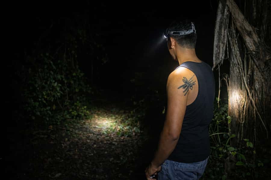From Iquitos: 3-Day Amazon Jungle Adventure Trip - What the lodge is really like