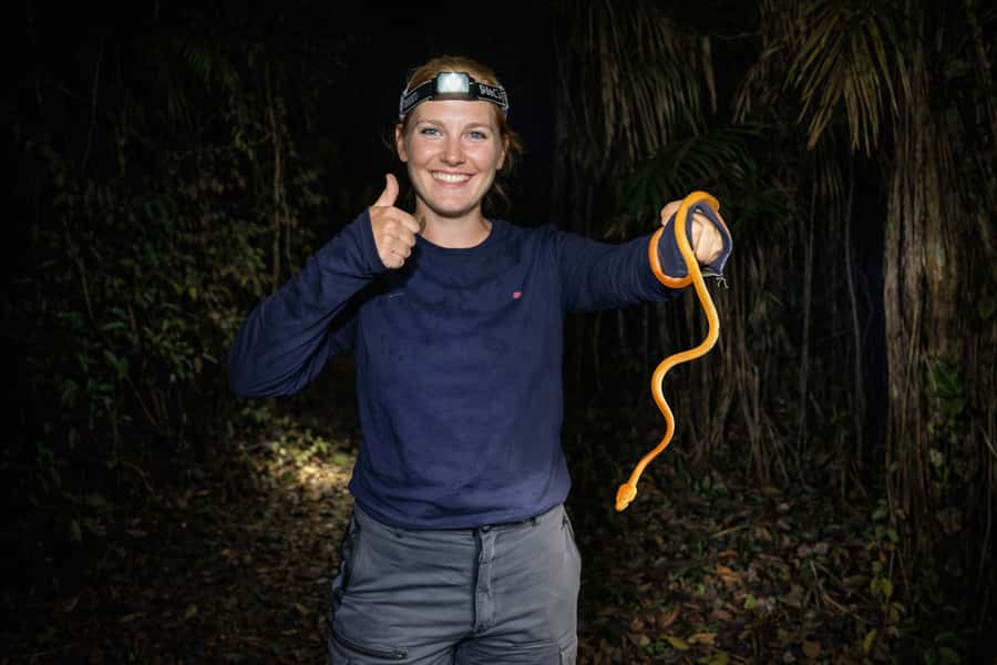 From Iquitos: 3-Day Amazon Jungle Adventure Trip - Guides and the value of local knowledge