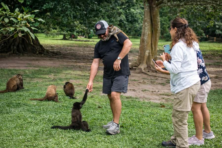 From Iquitos: 3-Day Amazon Jungle Adventure Trip - How much value do you get for $467?