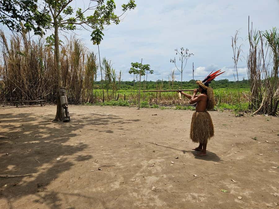From Iquitos: Full day tour in the Peruvian jungle - What $133 includes, and what it does not